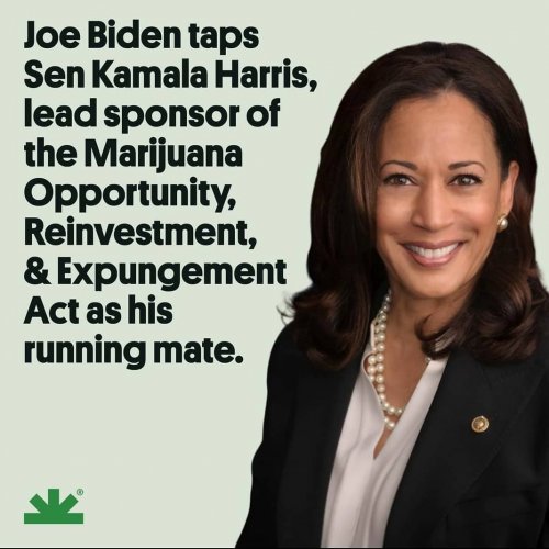 Photo post from kynorml.