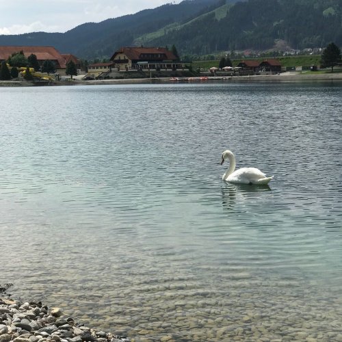 Photo post from freizeitanlage.