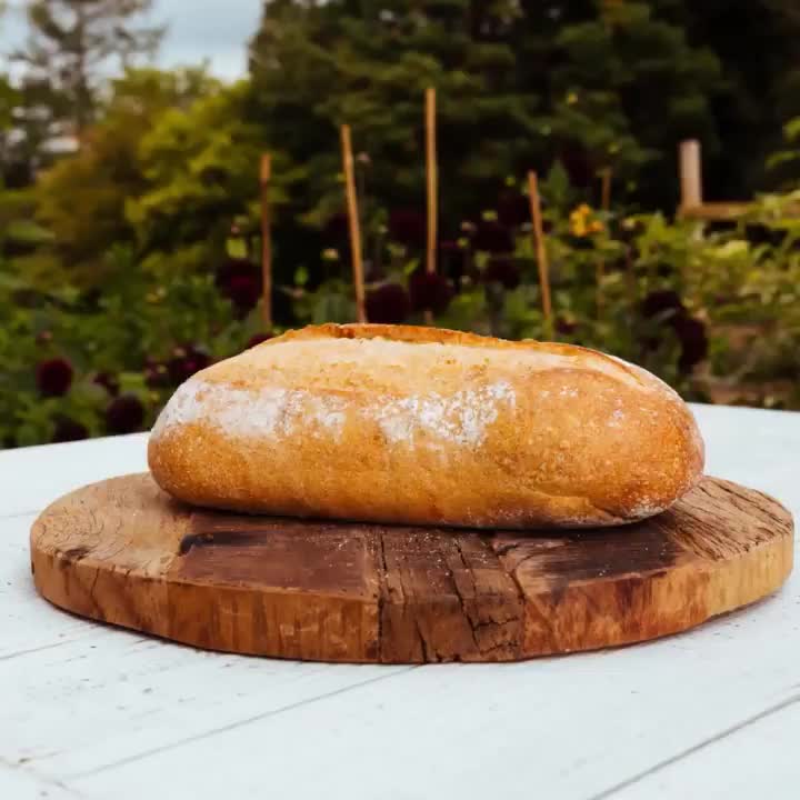 Video post from baxters_uk.