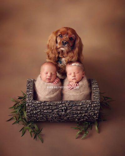 Photo post from abl_photography_sandiego.
