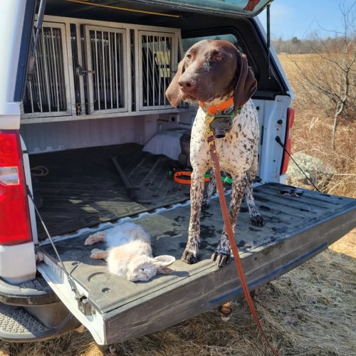 Carousel post from reddogguideservice.