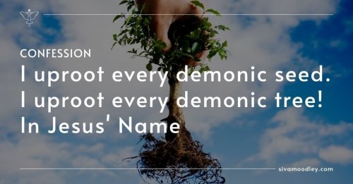 Photo post from drsivamm.