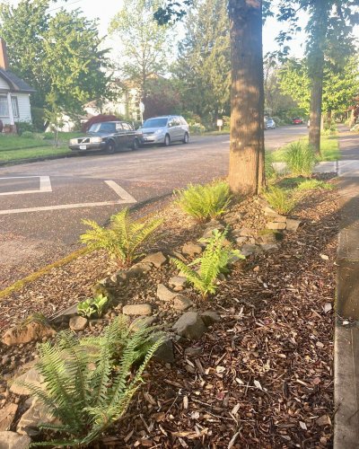 Carousel post from pdxswingsnthings.