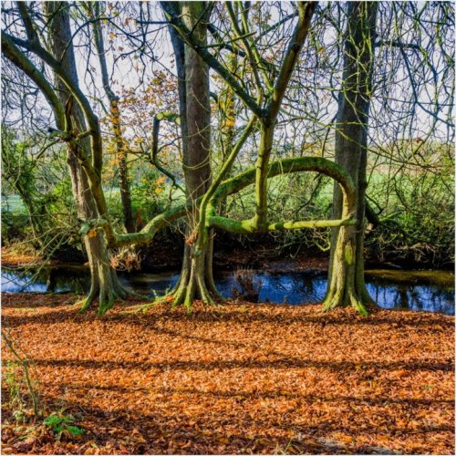 Photo post from glasshouseretreat.