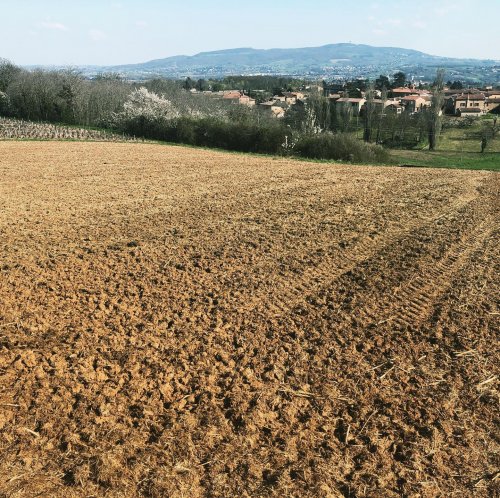 Photo post from domainelafamillek.