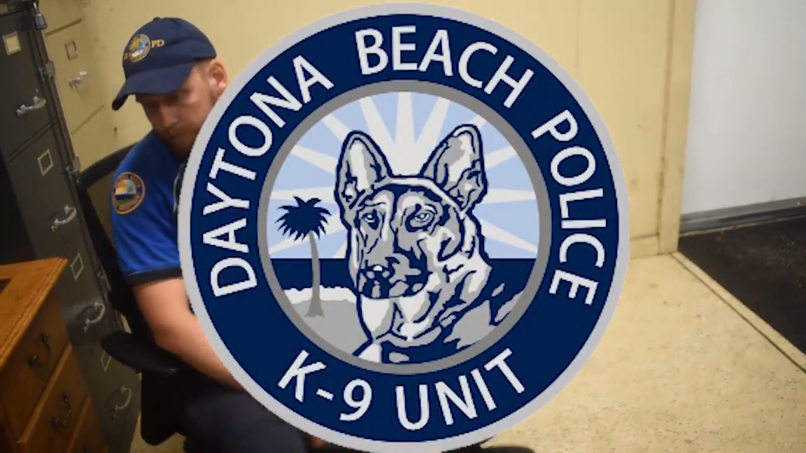 Video post from daytonabeachpolice.