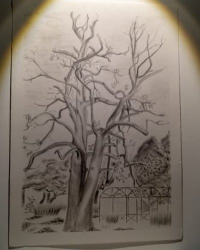 Carousel post from aur_arts.