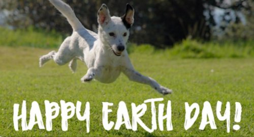 Photo post from familyanimalhospitalcm.