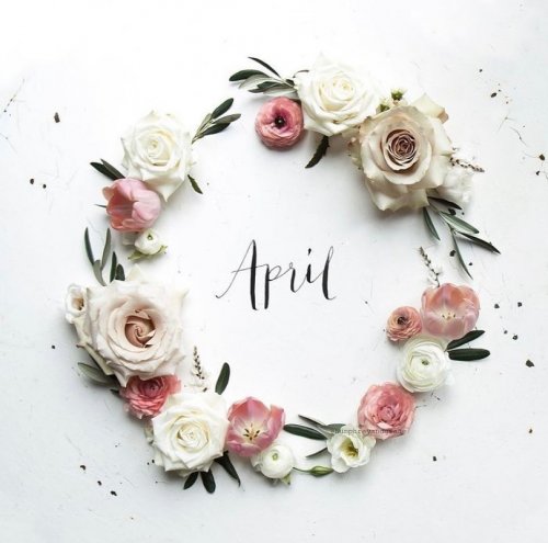 Photo post from madianitellc.