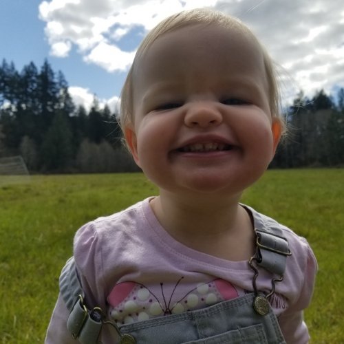 Photo post from hungryhollowfarm.