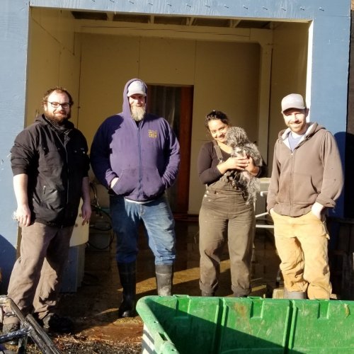 Photo post from hungryhollowfarm.