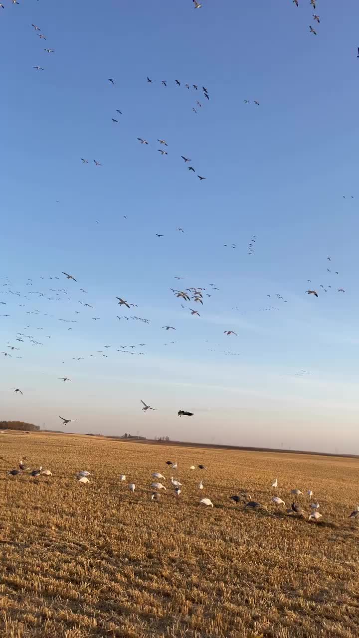 Video post from northernskiesoutfitters.