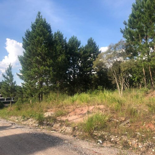 Carousel post from imobiliariammocelin.