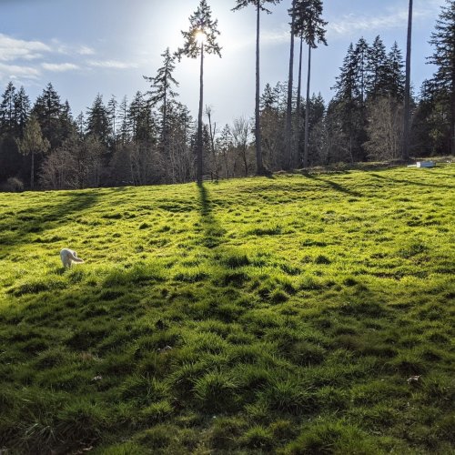 Photo post from hungryhollowfarm.