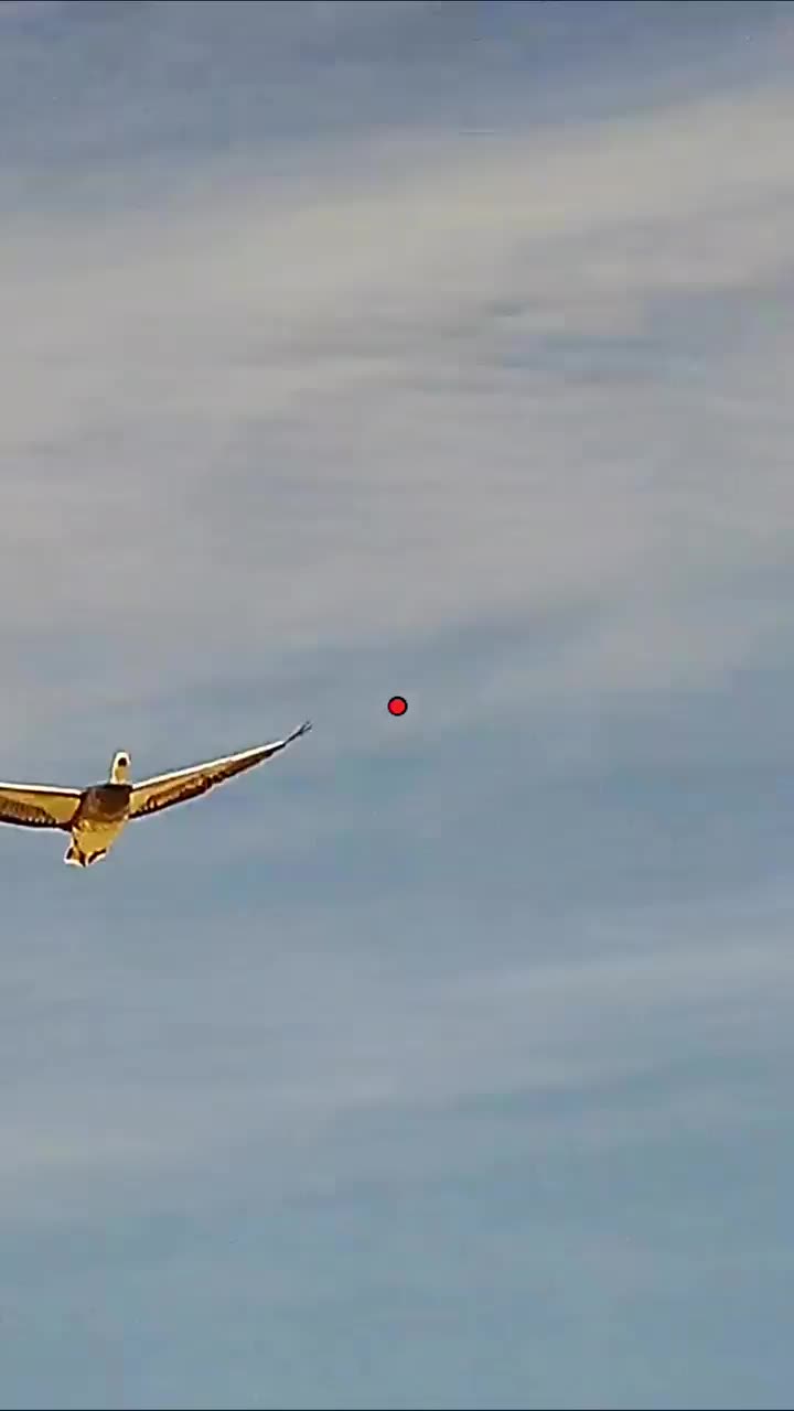 Video post from northernskiesoutfitters.