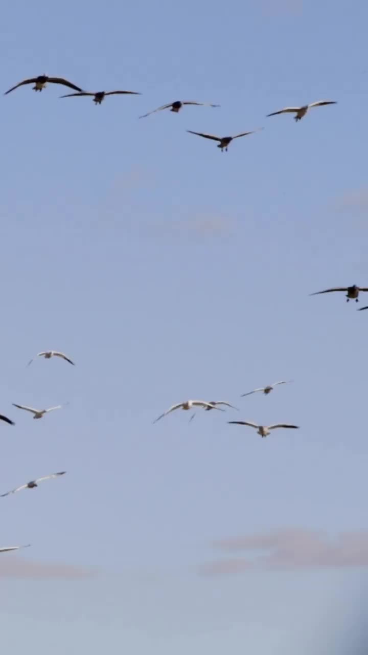 Video post from northernskiesoutfitters.