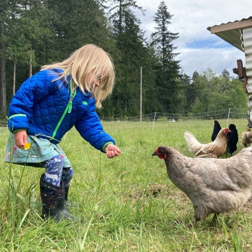 Photo post from hungryhollowfarm.