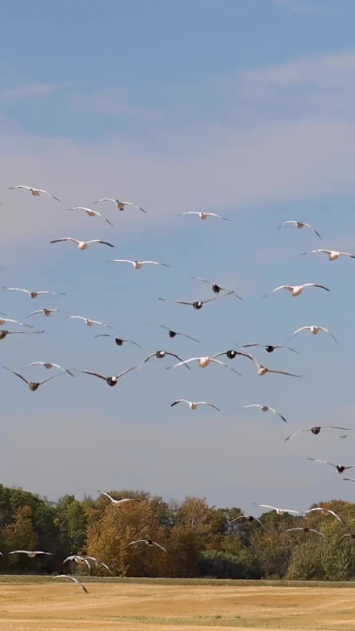 Video post from northernskiesoutfitters.