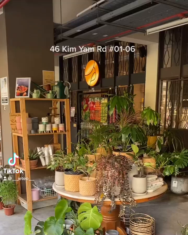 Video post from crane_living.