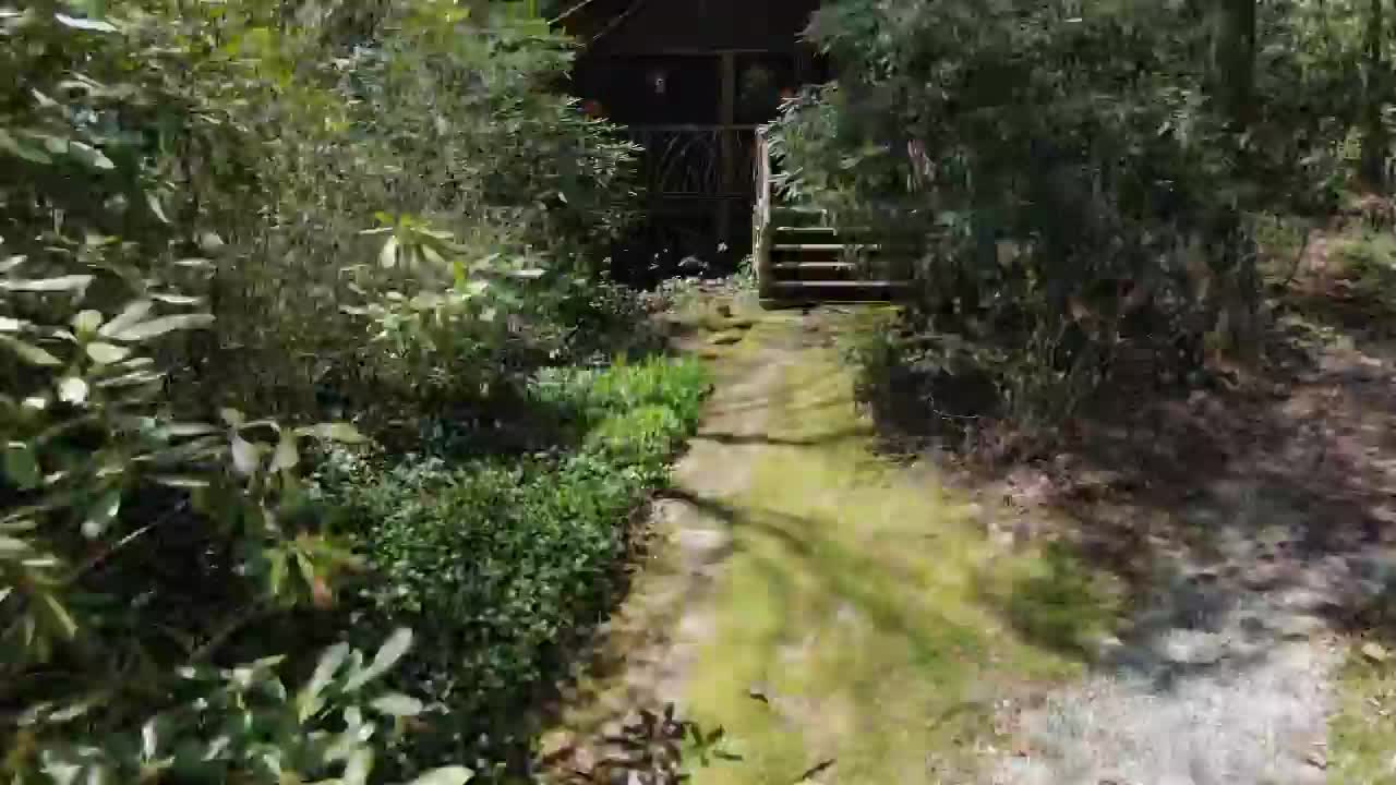 Video post from bhhsmmr.