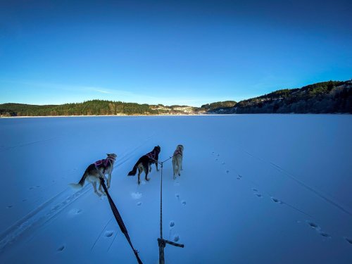 Photo post from duttons_eventyr.
