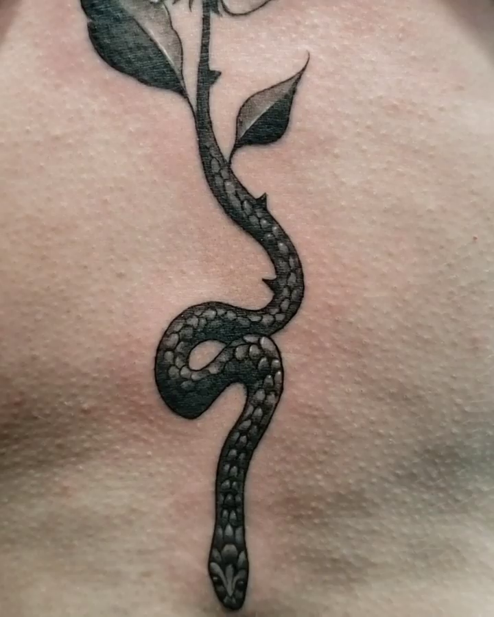 Video post from sinfulart_tattoo.