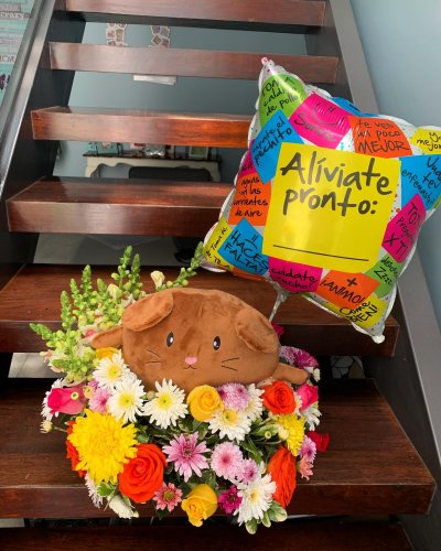 Photo post from la_gifteria.