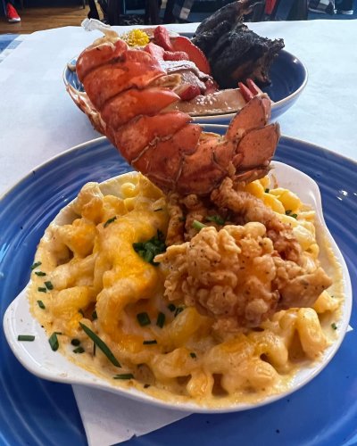 Carousel post from trekdirtyto.me.