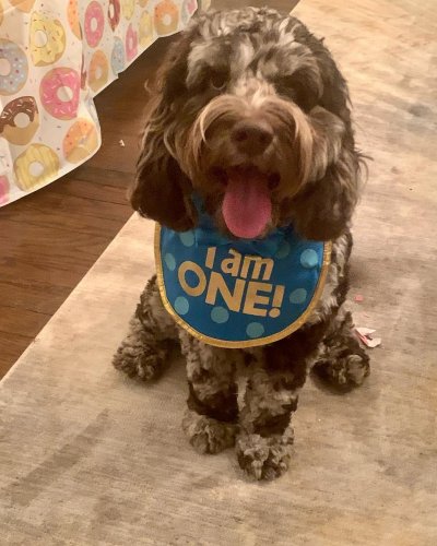 Photo post from lennoxflatscolumbus.