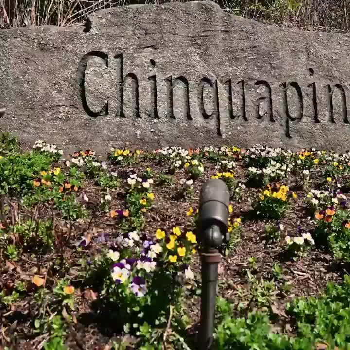 Video post from bhhsmmr.