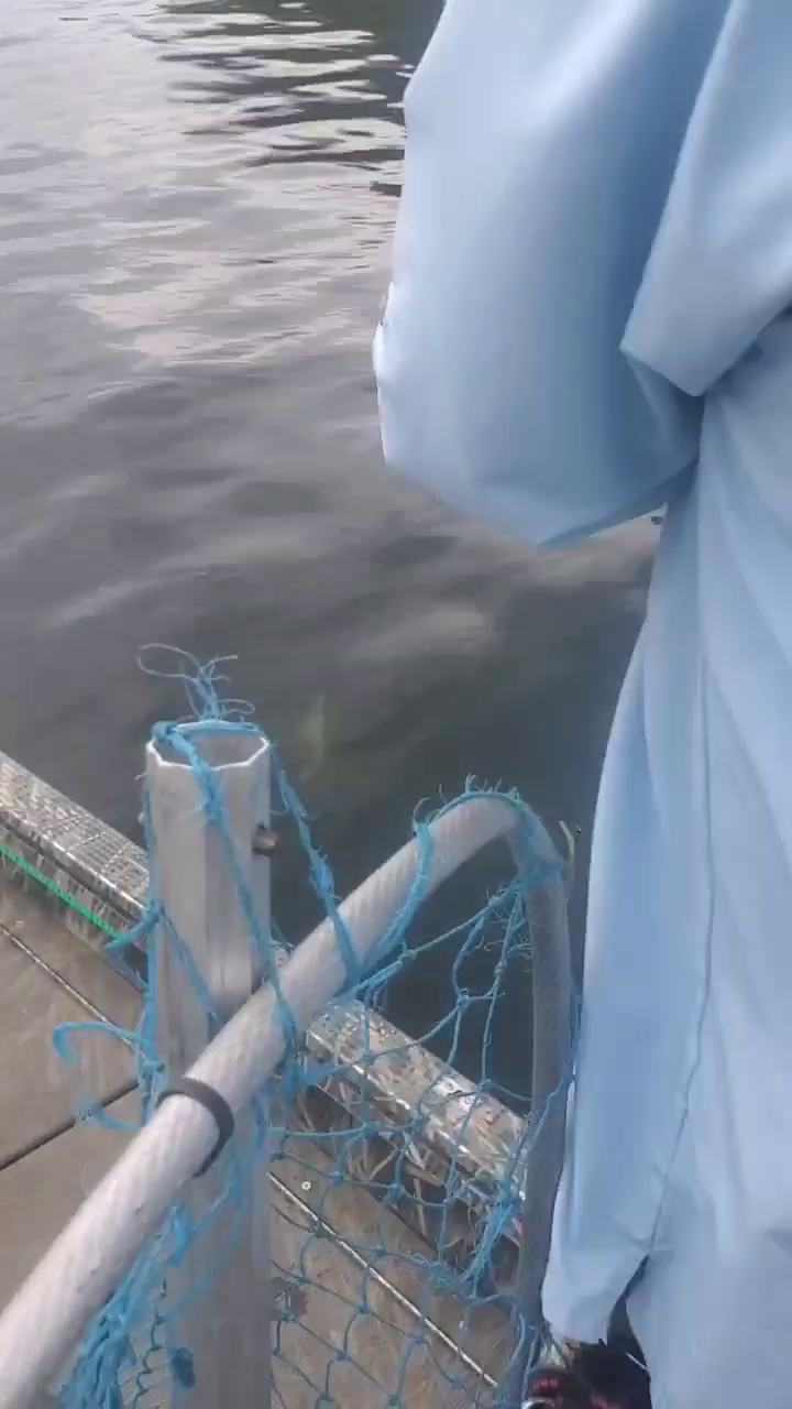 Video post from reddogguideservice.