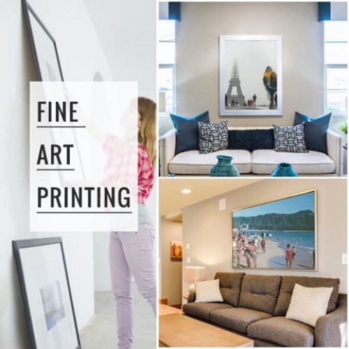 Photo post from cardinalcamera1937.