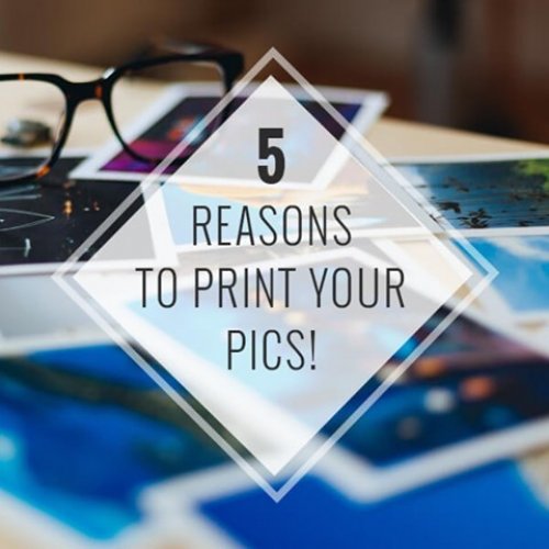 Photo post from cardinalcamera1937.