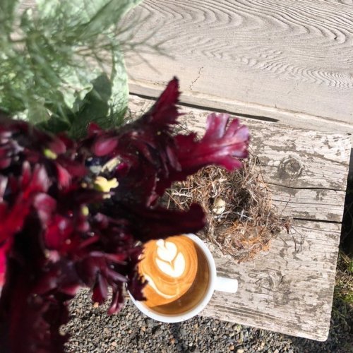 Carousel post from equianocoffee.