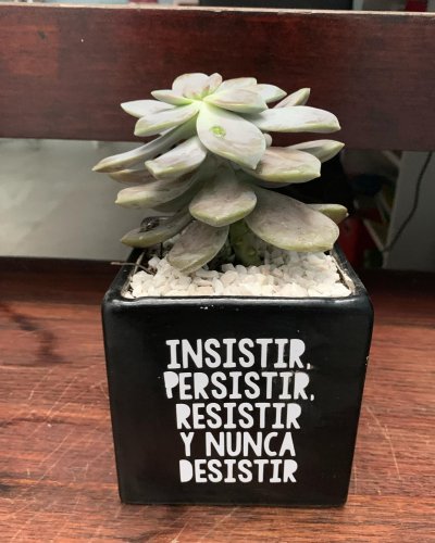 Photo post from la_gifteria.