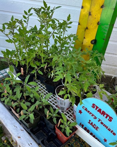 Photo post from freyaetthor.