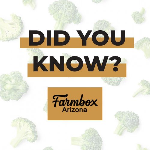 Carousel post from farmbox_arizona.