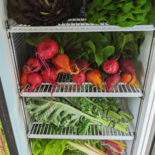 Photo post from hungryhollowfarm.