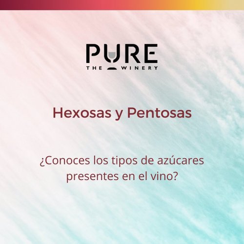 Carousel post from purethewineryes.
