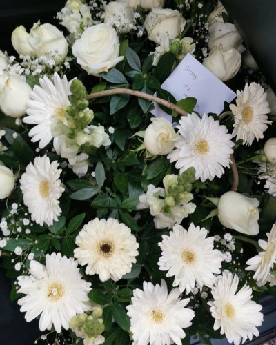 Photo post from la_gifteria.