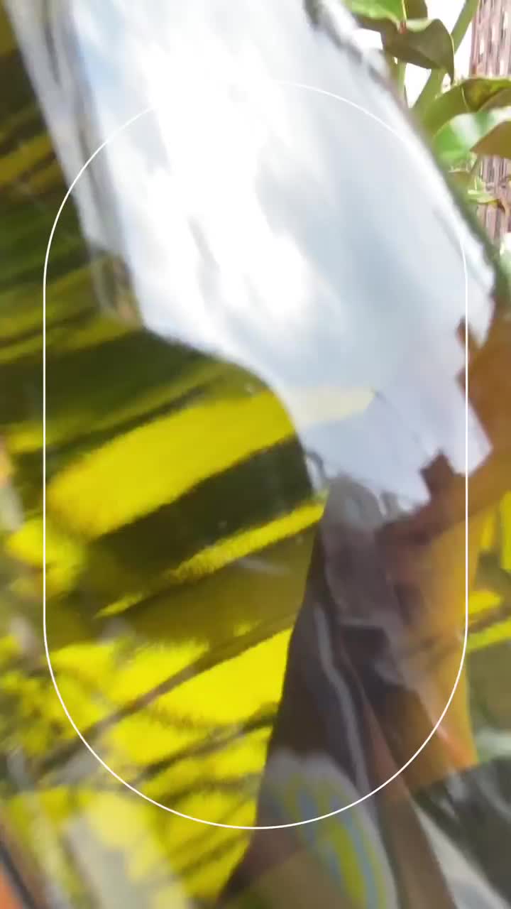Video post from dandywineshop.