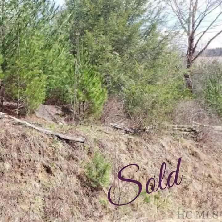 Video post from bhhsmmr.