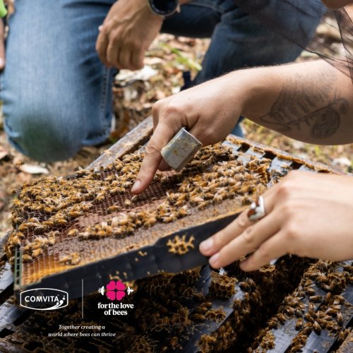 Photo post from comvita_nz.