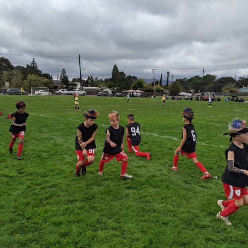 Photo post from diablovalleywolves.