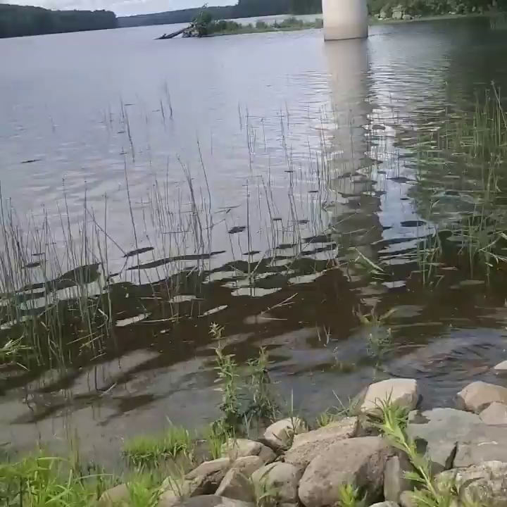 Video post from reddogguideservice.