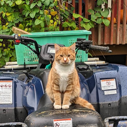 Photo post from hungryhollowfarm.