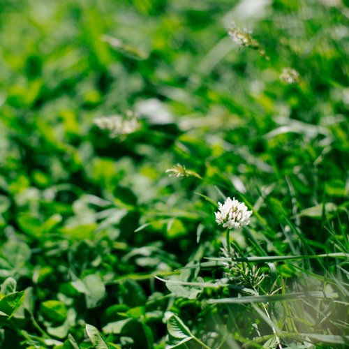 Photo post from hungryhollowfarm.