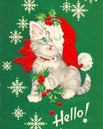 Photo post from margaritabloom.