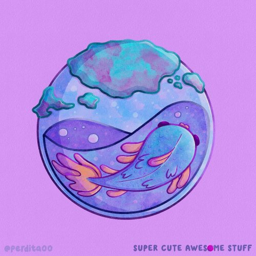 Carousel post from perdita00.