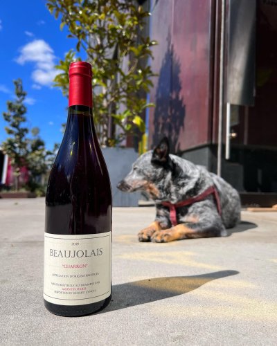 Photo post from dandywineshop.